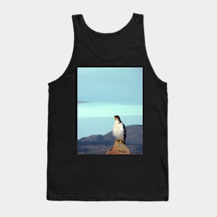 Hawk on a rock Tank Top